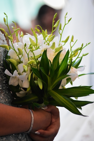 Pierra and Ray's Wedding - Part 2